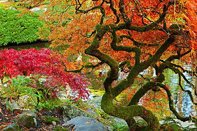 暴雪解释《暗黑2：重制版》第二赛季延期：计划没做好