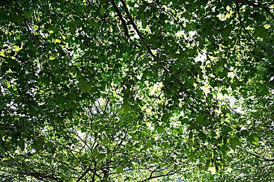 《赛博朋克2077》续作或加入多人元素 处于概念设计阶段